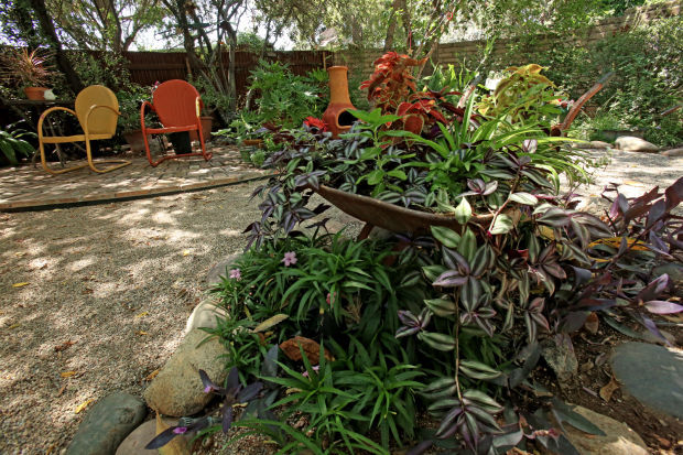 40th anniversary of Tucson Botanical Gardens