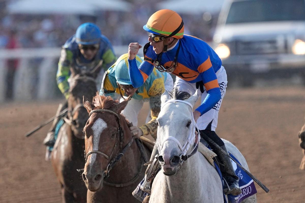 Breeders Cup Classic Horse Racing
