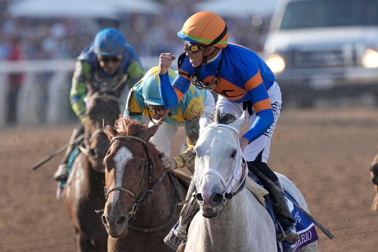 Breeders Cup Classic Horse Racing
