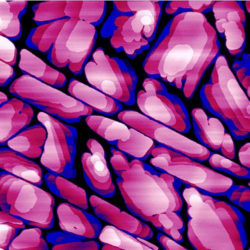 UA scientists at the frontiers of research   