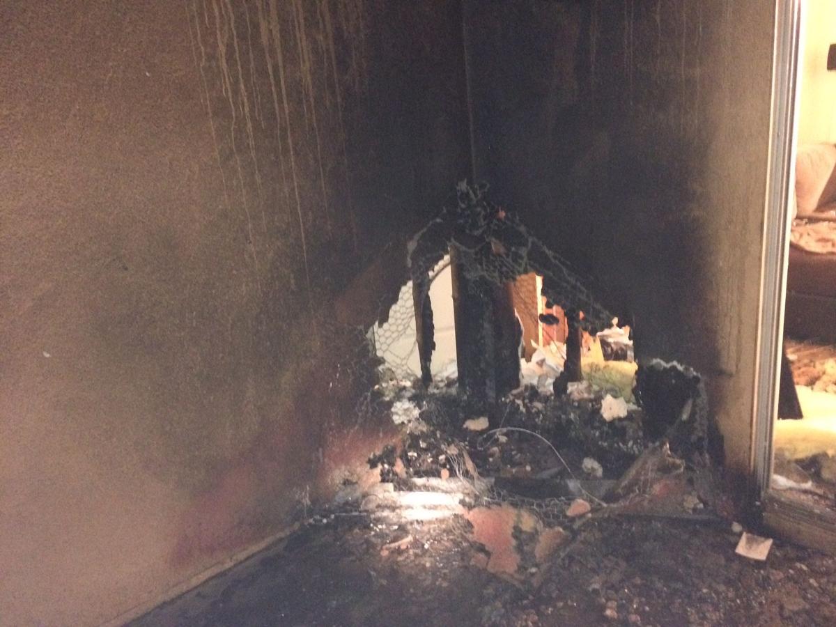 Heater For Potbellied Pigs Causes Marana House Fire Blog Latest