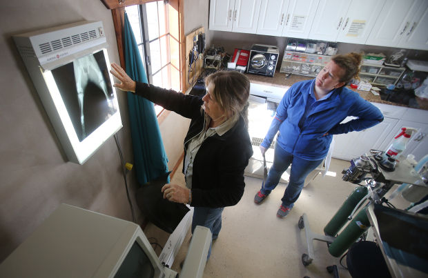 Wildlife rehabbers saving tiny lives