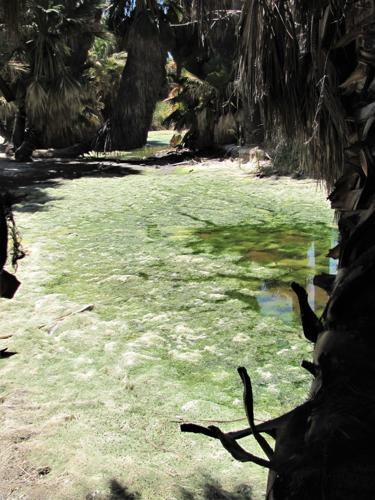 Little water remains