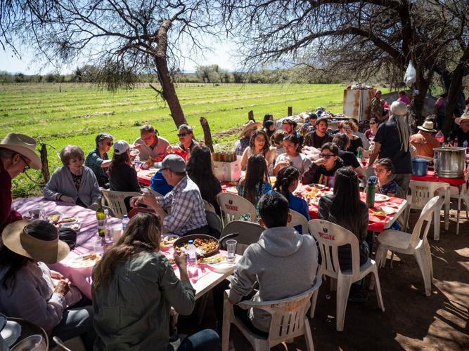 Linda Ronstadt Banámichi