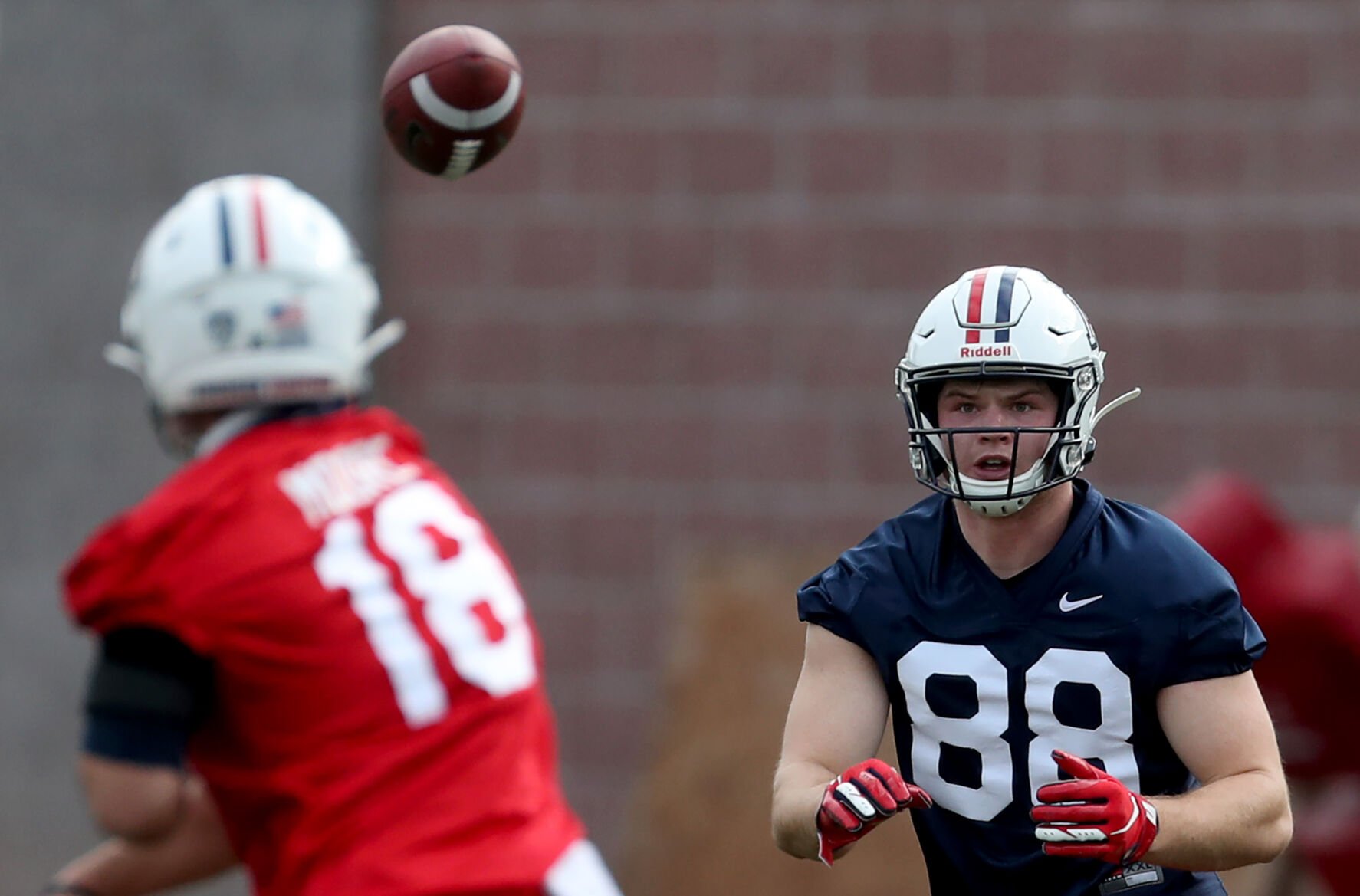 University of Ariozna football (copy)