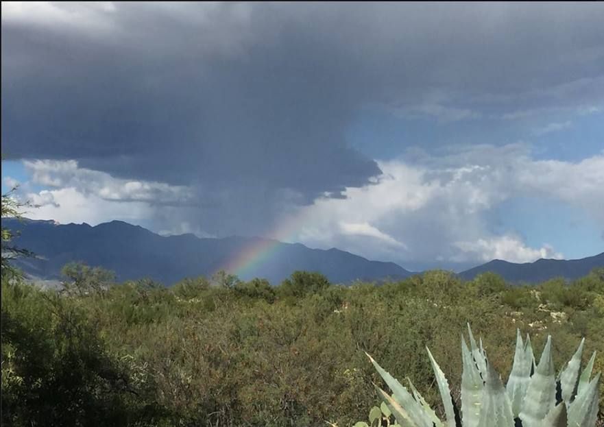 Photos: Vibrant rainbows spotted in Tucson  Outdoors and Events 