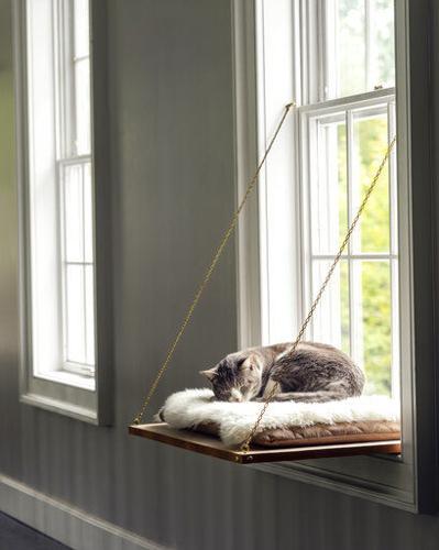 The latest in pet furniture: pieces that fit a home's decor