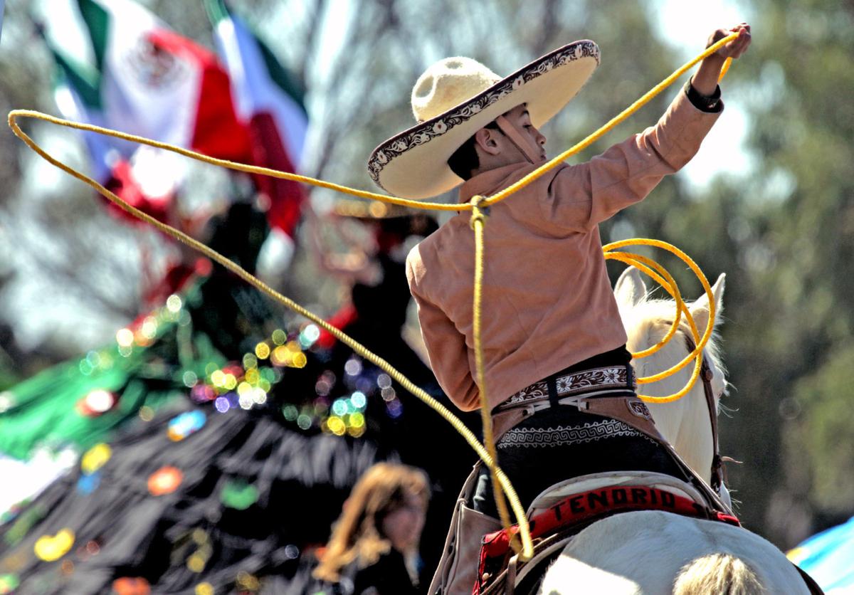 Tucson Rodeo Parade 2,200 people, 650 horses and 128 floats