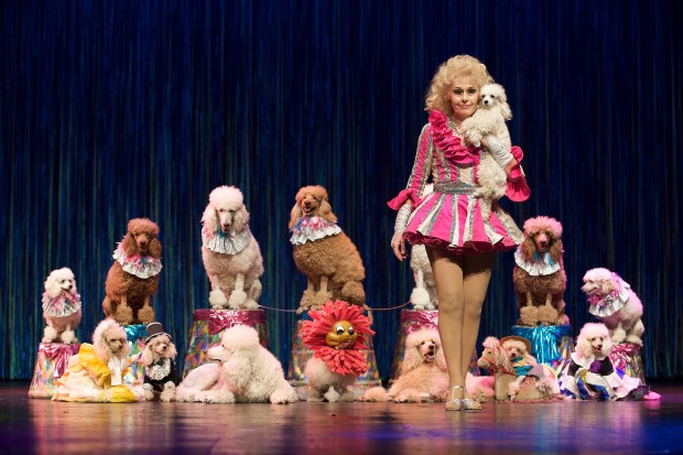 Little movie theater that could embarking on its 19th film fest   