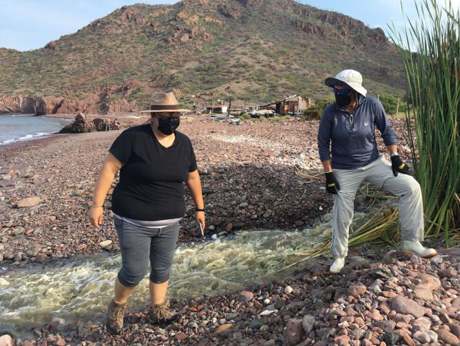 San Carlos, Guaymas, sewage, 2021 (le 3-6)