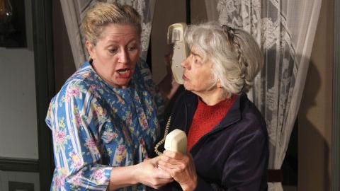 Review: 'The Savannah Disputation' a delicious romp