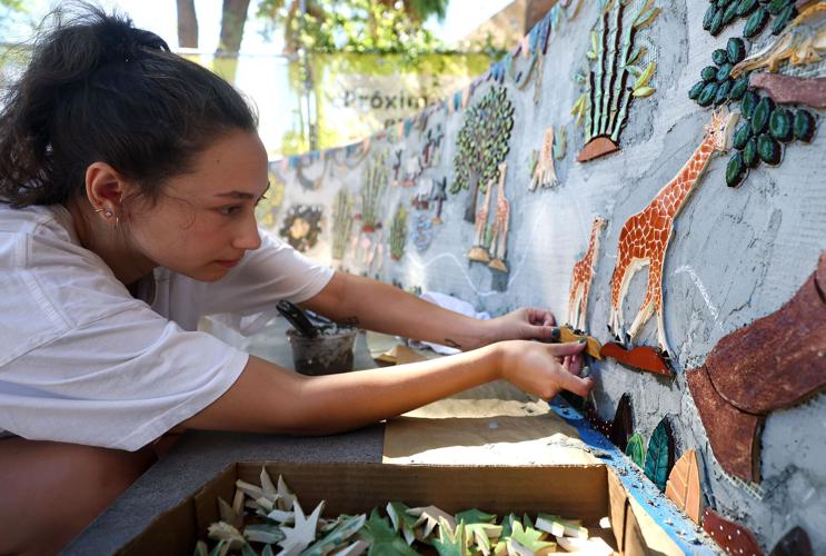 Adding color to pathway at Tucson's Reid Park Zoo