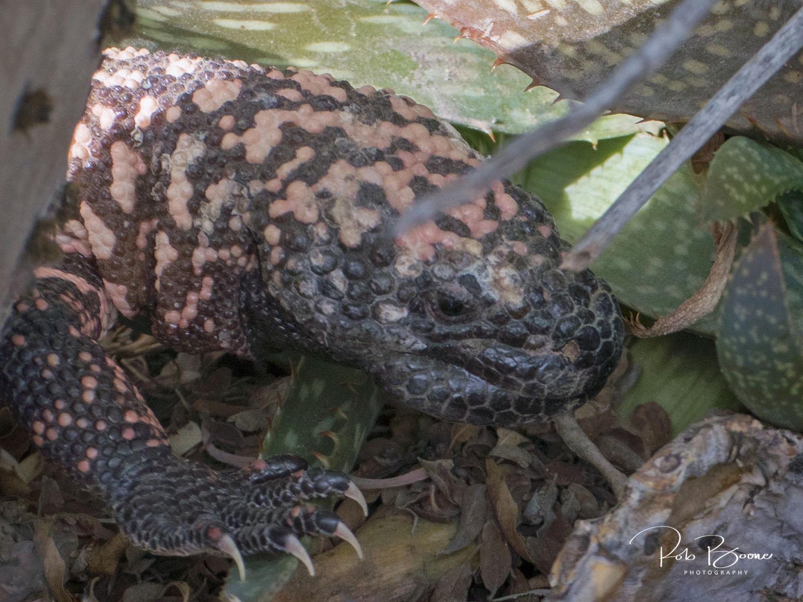 Christian Singles Dating In Gila Bend Arizona Christian Singles Dating In Gila Bend Arizona