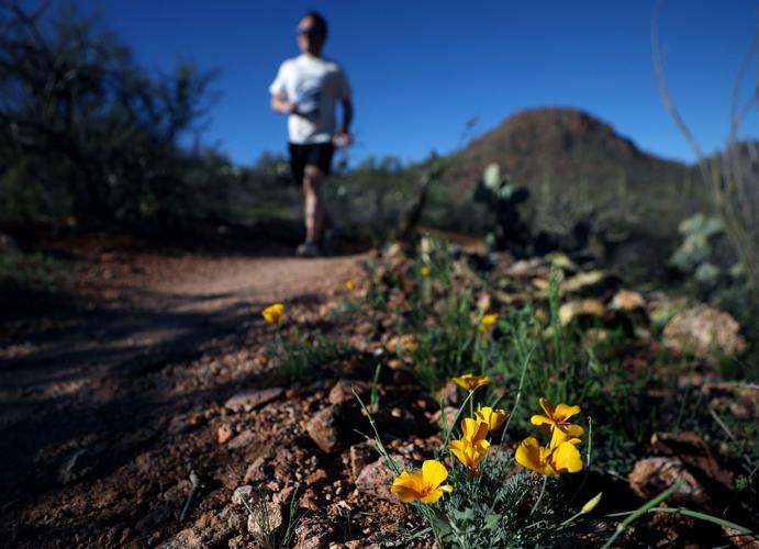 Tucson weather: Sunny all week