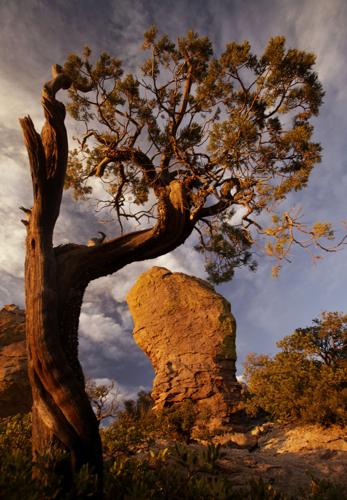 Chiricahua National Monument