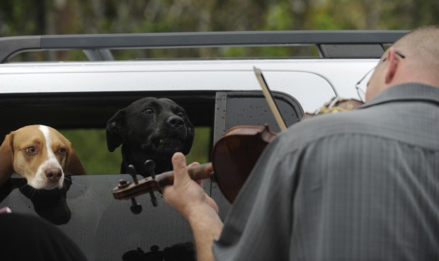 Animal shots of the week