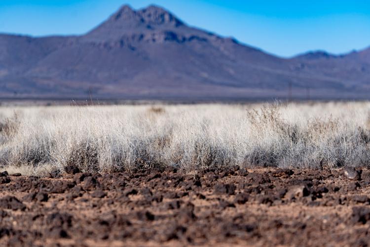 Technology helps border ranchers survive Arizona's drought