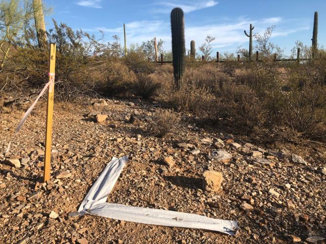 Border fence at Organ Pipe Cactus NM