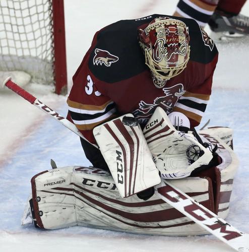 Tucson Roadrunners vs Manitoba Moose