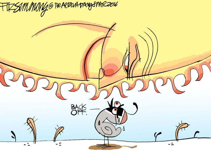 Last Laugh: Sunshine