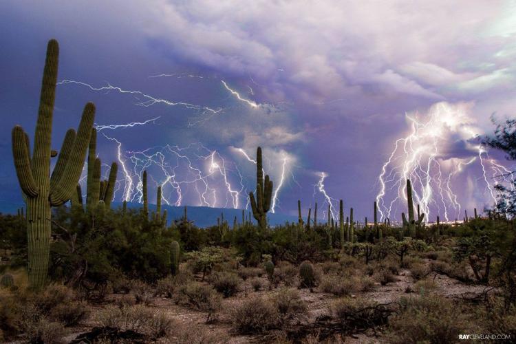 Monsoon photo contest