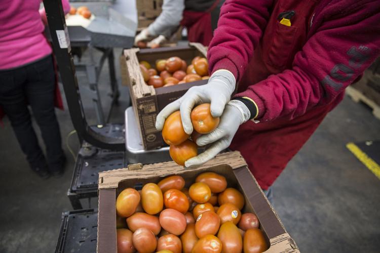 Arizona firms: Tariff on Mexican tomatoes will hurt state