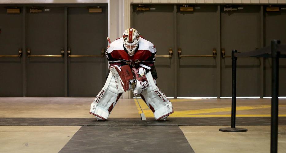 Roadrunners vs Griffins