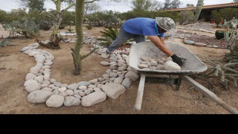Southern Arizona Blooms With Lush Garden Tours Tucson Gardens