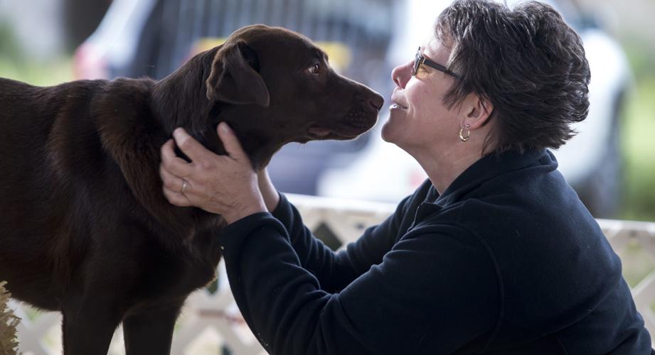 Barn Hunt Casa Grande