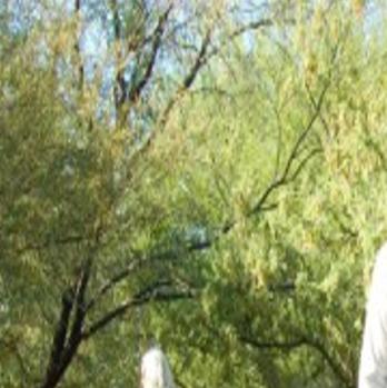 8 Tucson Places To Take Your Pup On A Doggy Date 5 Best