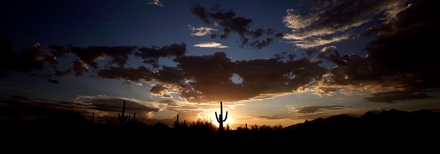 Saguaro National Park, 2020