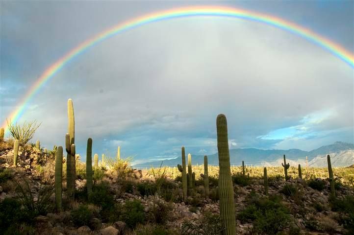 Monsoon photo contest