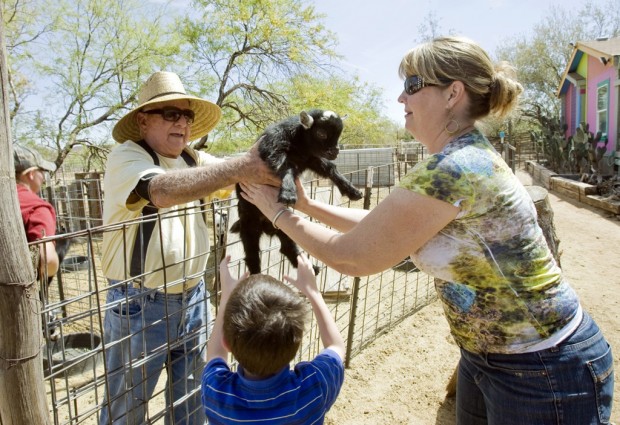 Ranch's many minis offer big-time fun    