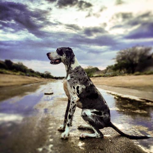 Monsoon photo contest