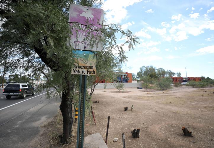 Neighbor group behind chopping down of 50-plus trees in Tucson wash