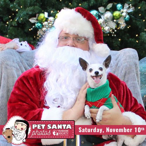Pet Santa photos
