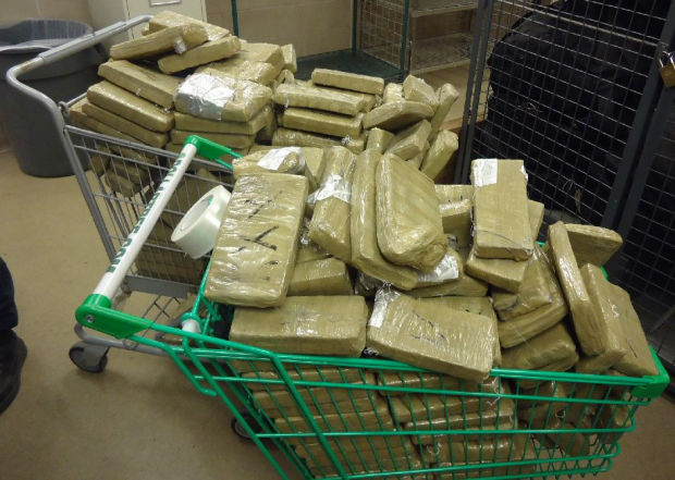 Douglas pot bust