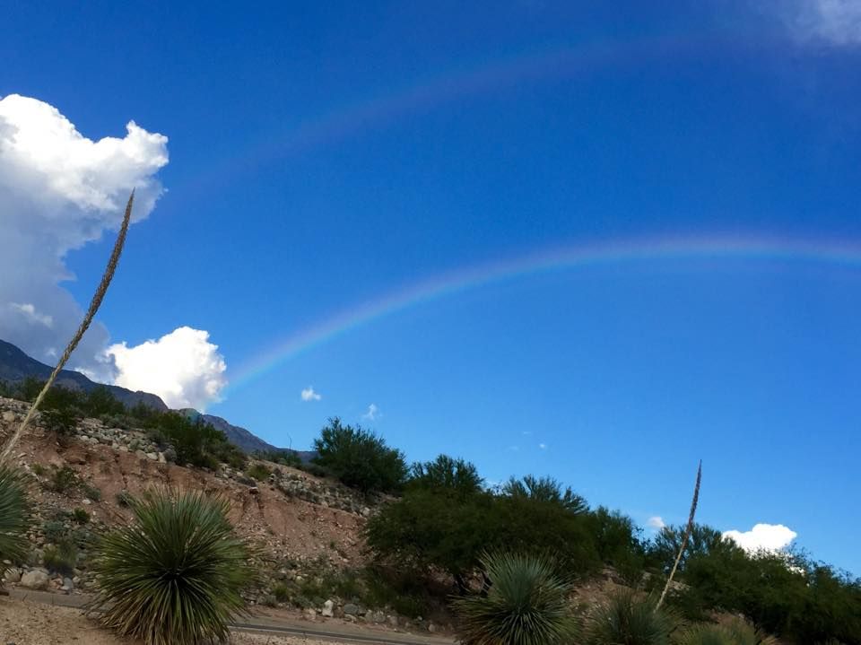 Photos: Vibrant rainbows spotted in Tucson  Outdoors and Events 