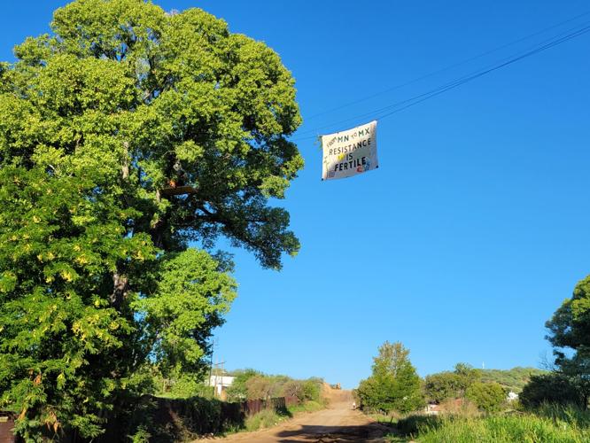 Tree-sit protest against border wall branches into Mexico