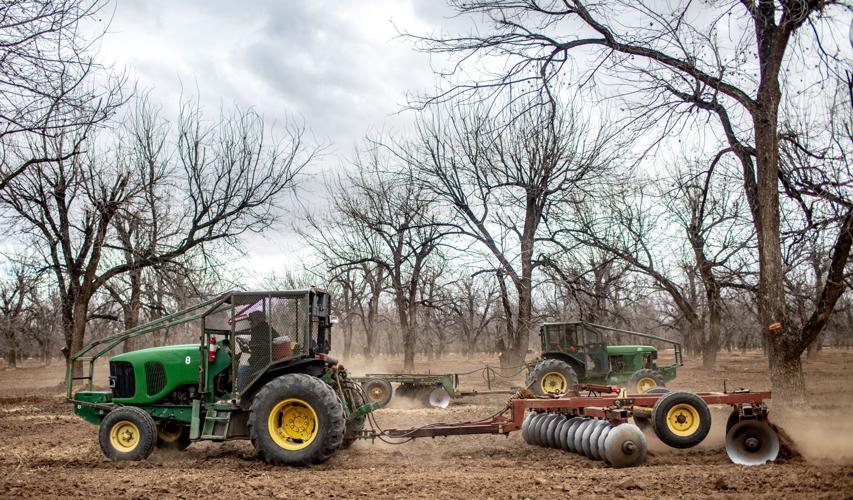 Green Valley Pecan Company