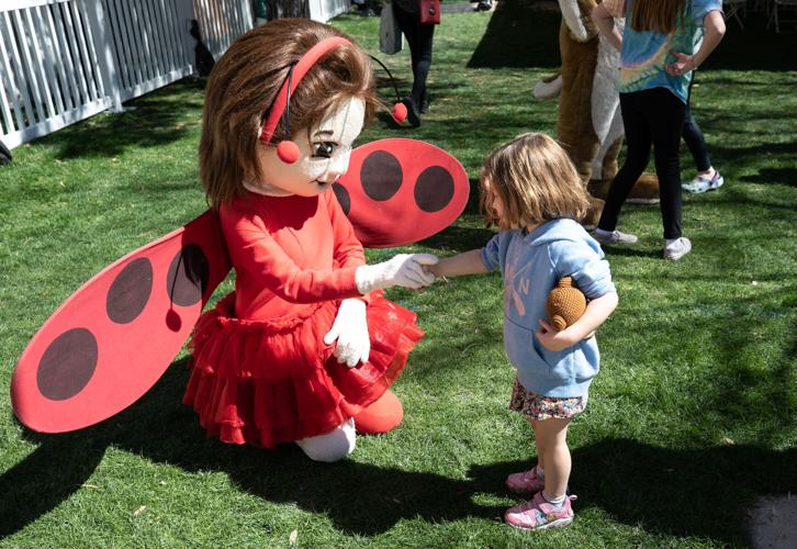 Tucson Festival of Books 2023