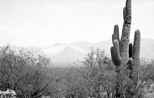 Tucson Time Capsule : How a scar was born  