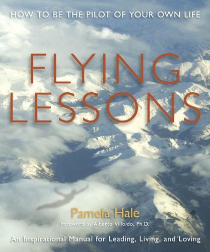 'Flying Lessons' leaves fear grounded    