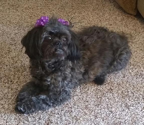 Happy National Dog Day!