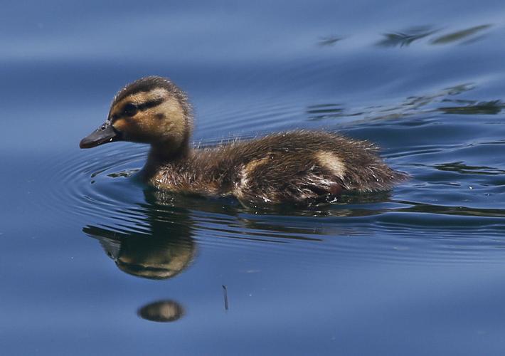 100-degree weather on its way