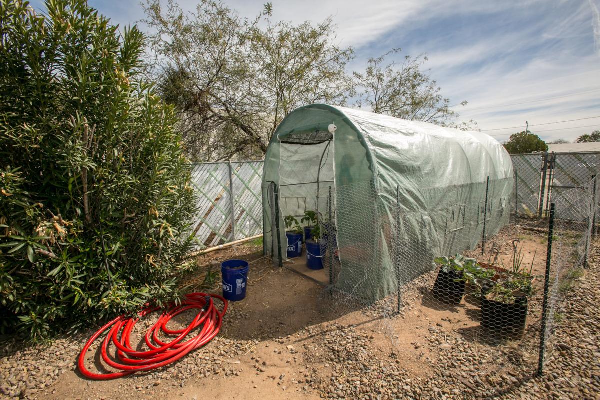 Want A Challenge Try Growing Greens In Desert Year Round Home Garden Tucson Com