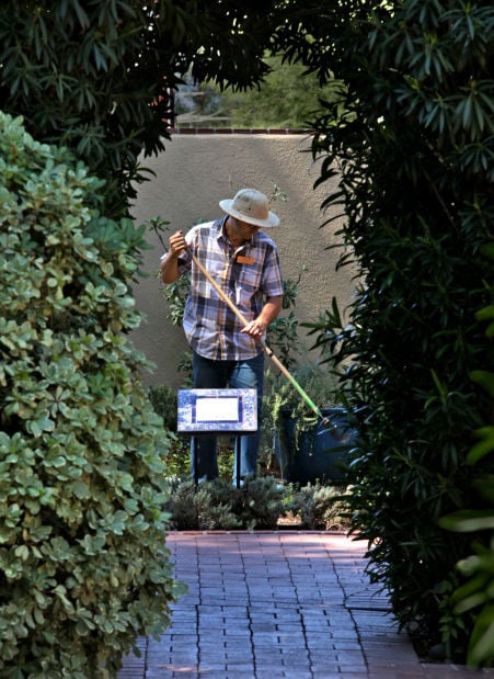 Tucson Botanical Gardens celebrates 40 years as midtown oasis | Home