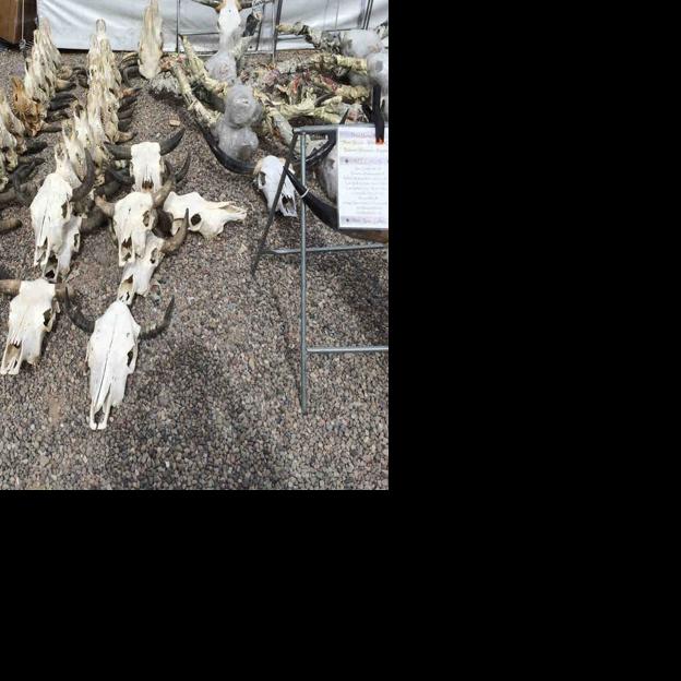 Animals of the Gem Show