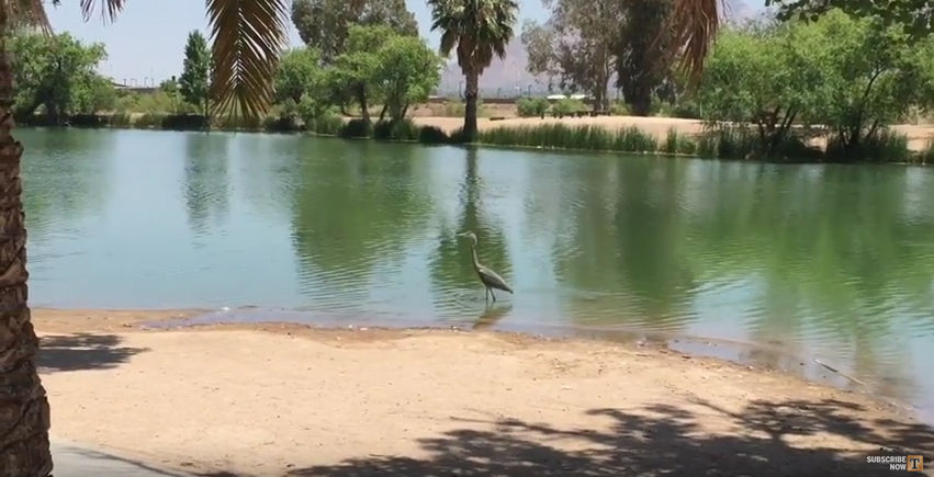 Silverbell Lake