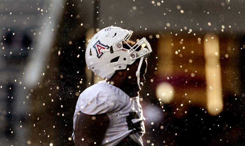 University of Arizona